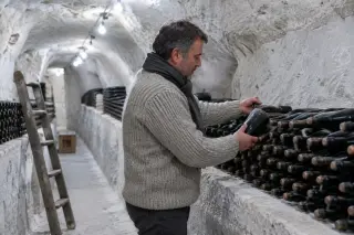 Dans une cave creusée dans la craie, un homme en pull épais prend une bouteille de champagne parmi celles couchées
