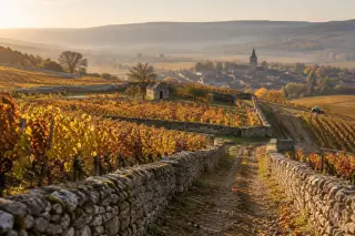 Un coteau de vignes bourguignon aux murets de pierre sèche, un clos et un village au fond, soleil bas d'automne