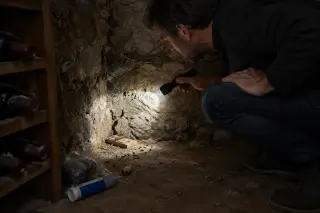 Un homme inspecte à la lampe torche un coin bas de cave ancienne, piège à souris et toile d'araignée