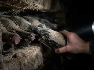 Gros plan sur une rangée de très vieilles bouteilles poussiéreuses couchées en cave, une main en dégage une à la lampe