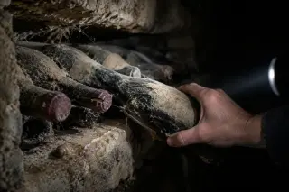 Gros plan sur une rangée de très vieilles bouteilles poussiéreuses couchées en cave, une main en dégage une à la lampe