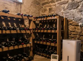 Home wine cellar with wine racks, a dehumidifier, a hygrometer and slightly damp walls